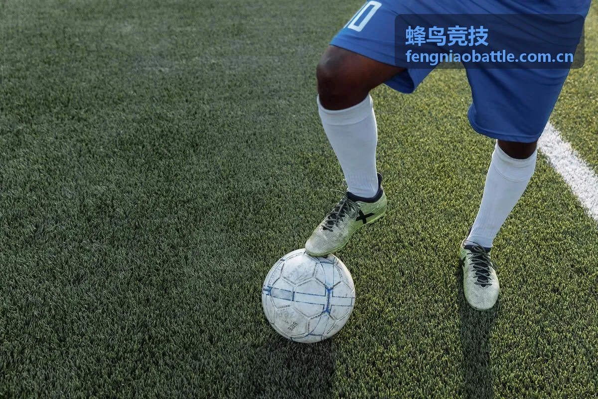 蜂鸟竞技单人排位进阶专题